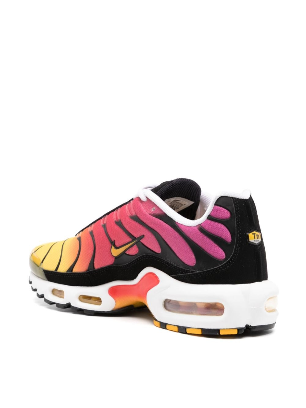 Nike Air Max Plus Rainbow